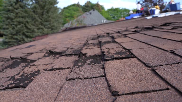Professional Roofing in Trafalgar, IN