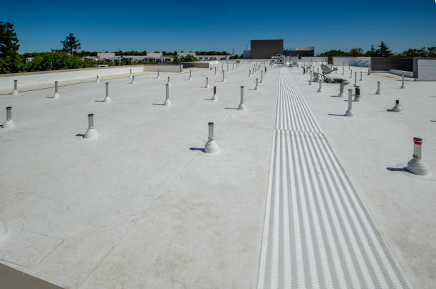 Best Solar Panel Roofing Installation  in Trafalgar, IN